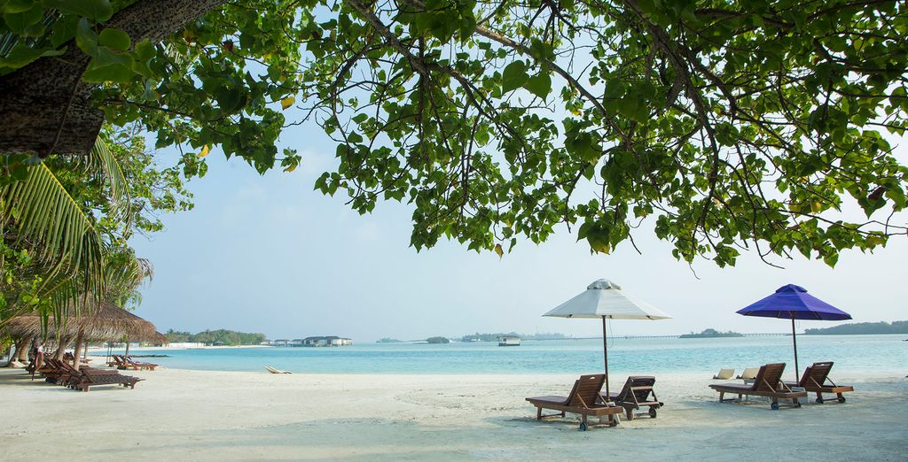 Tour Privato di 5 notti + soggiorno alle Maldive presso il Cinnamon Dhonveli Maldives 4*  