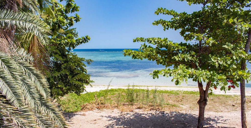 Manta Cove