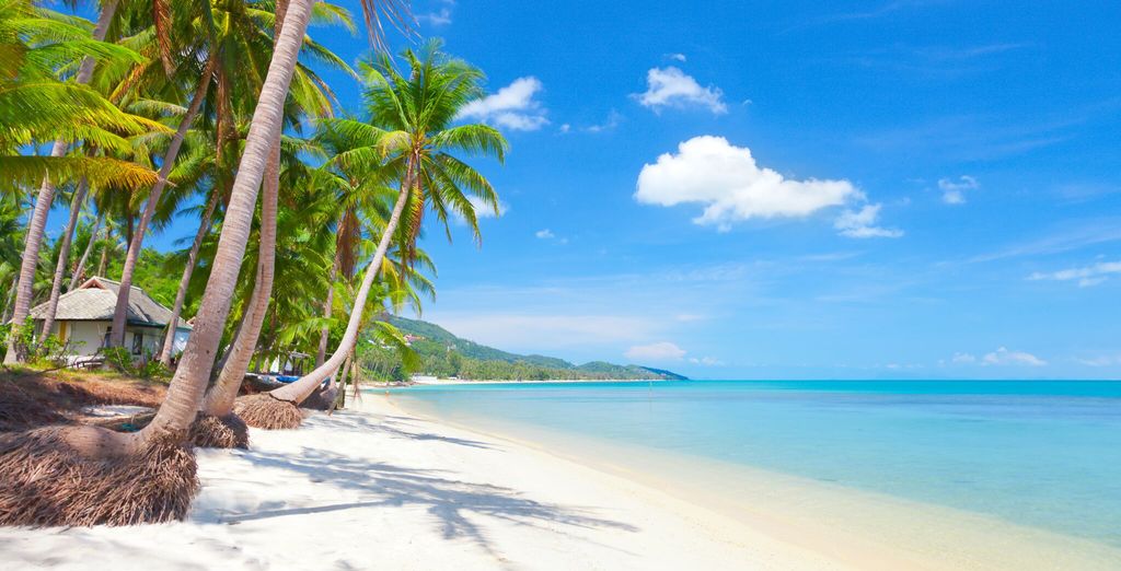 Da Bangkok a Chiang Mai in tour 7 notti e soggiorno mare a Koh Samui in 4*