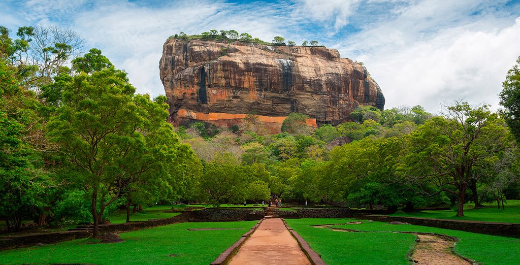 Tour completo dello Sri Lanka con mini safari - 7 notti in Hotel 4 e 5*