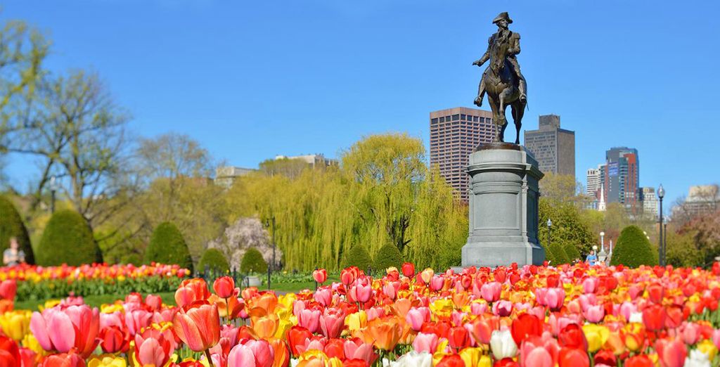 Tour il meglio del Nordest America