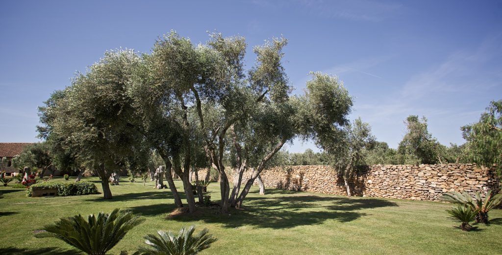 Tenuta Monacelli & Masseria Giampaolo 4*