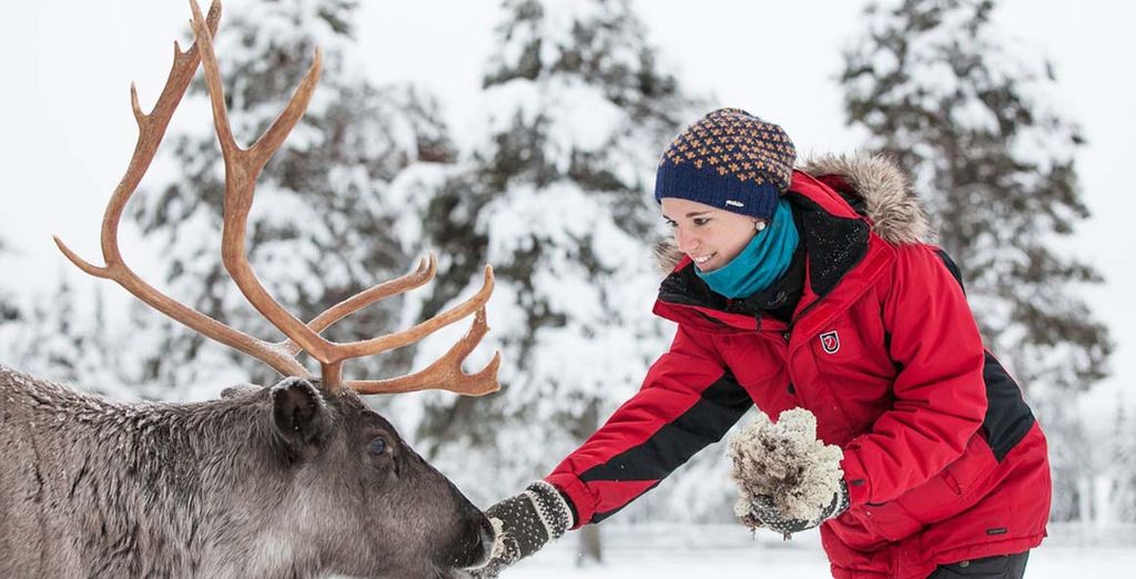 Tour della Lapponia Finlandese con possibile visita al villaggio di Babbo Natale