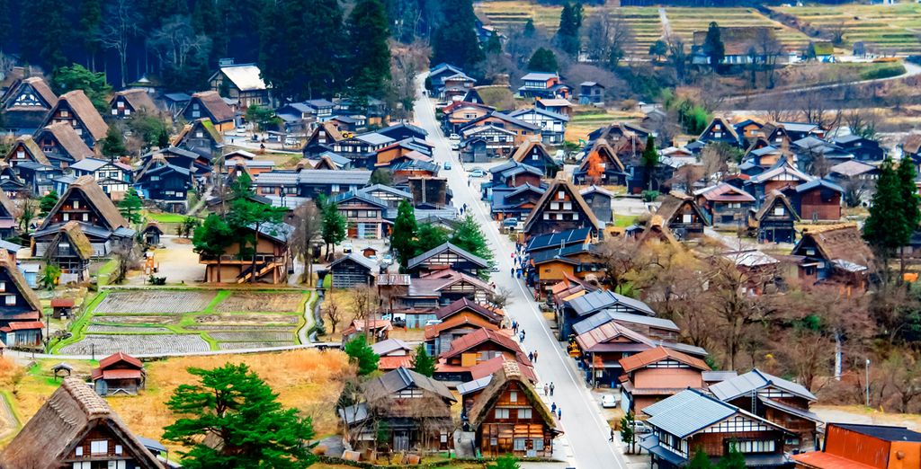 Tour i sapori del Giappone