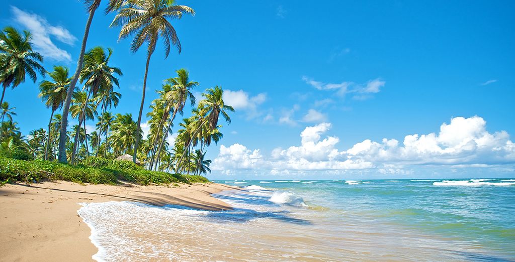Tour Brasile Rio, Iguazu, Salvador de Bahia in 4*
