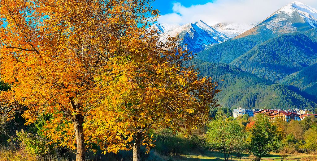 Premier Luxury Mountain Resort 5*