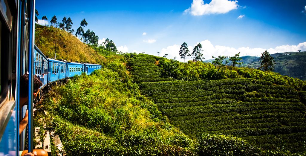 Tour privato dello Sri Lanka con estensione a Wadduwa