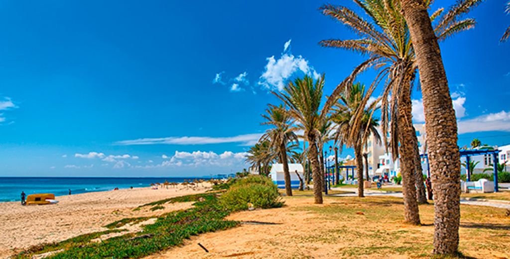 Tour tra spiaggia e deserto