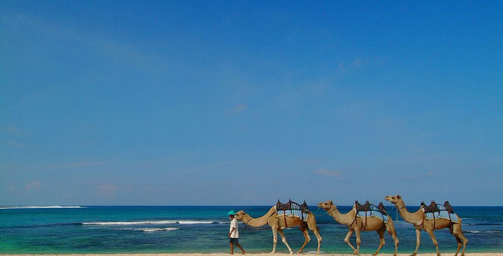 Tilal Liwa Resort 4* + Al Raha Beach Hotel 5* 