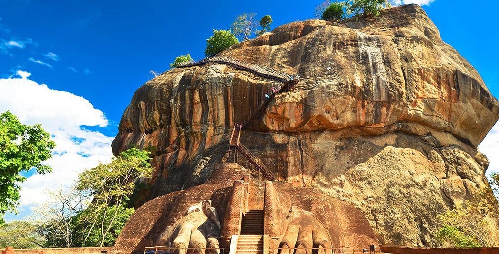 Tour dello Sri Lanka in 8 o 10 notti