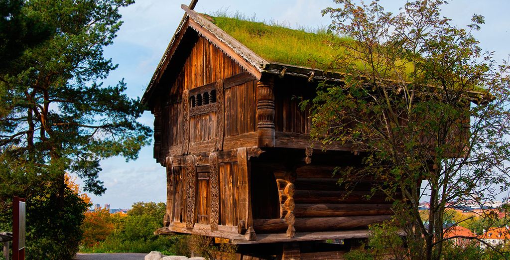 Stoccolma e Ockelbo immersi nella natura della Svezia