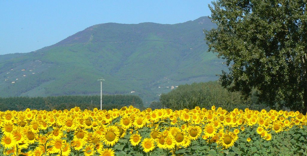 Hotel Calamidoro 4*