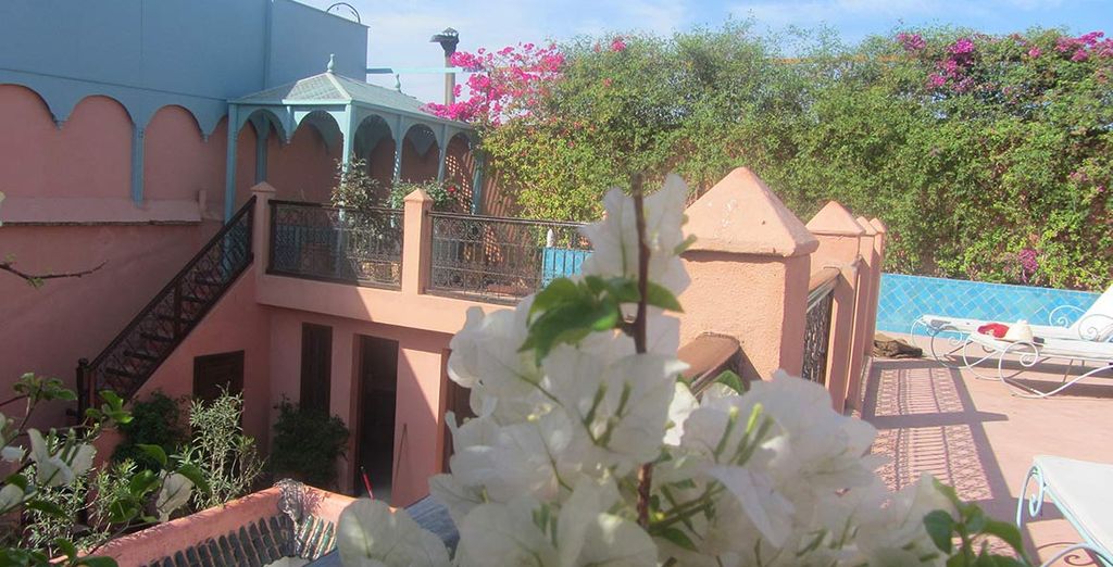 Riad Marelia 
