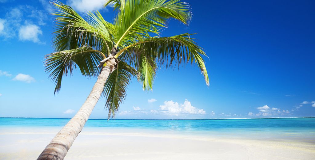 Grand Bahia Principe Bavaro 5*