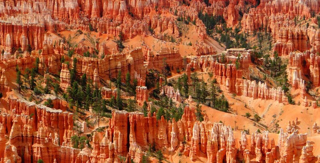 Il Triangolo dell'Ovest - Stati Uniti d'America