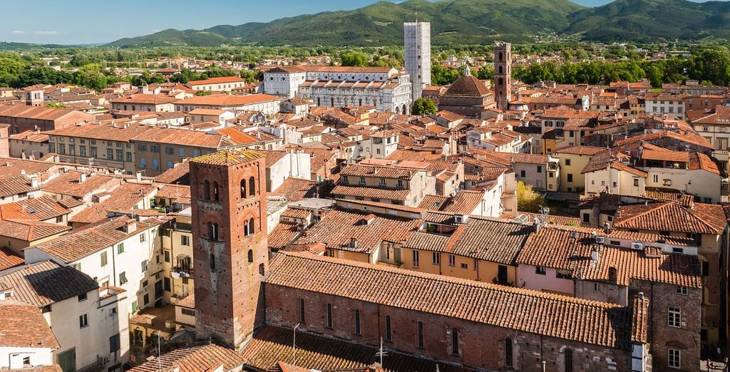 Fattoria Borgo La Torre