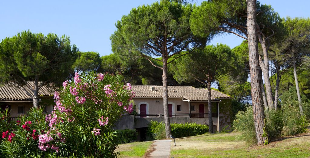 P&V Saint Raphael Valescure