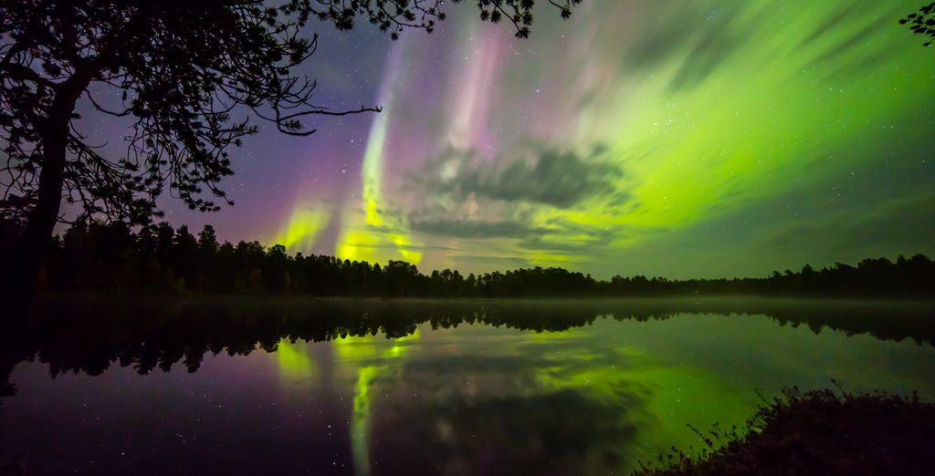 Aurora Boreale e Natura