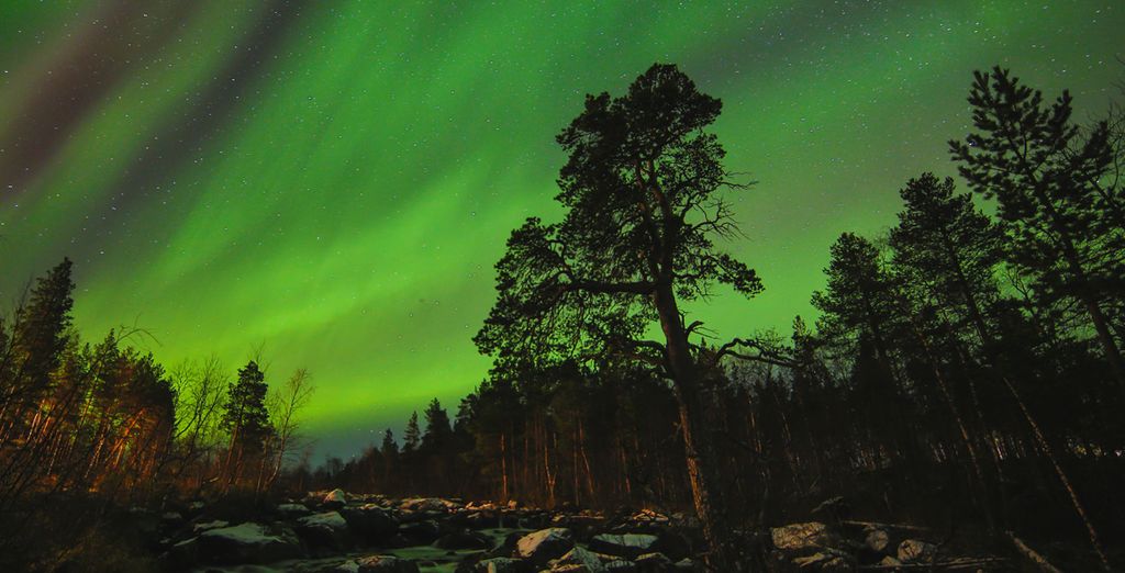 Aurora Boreale e Natura