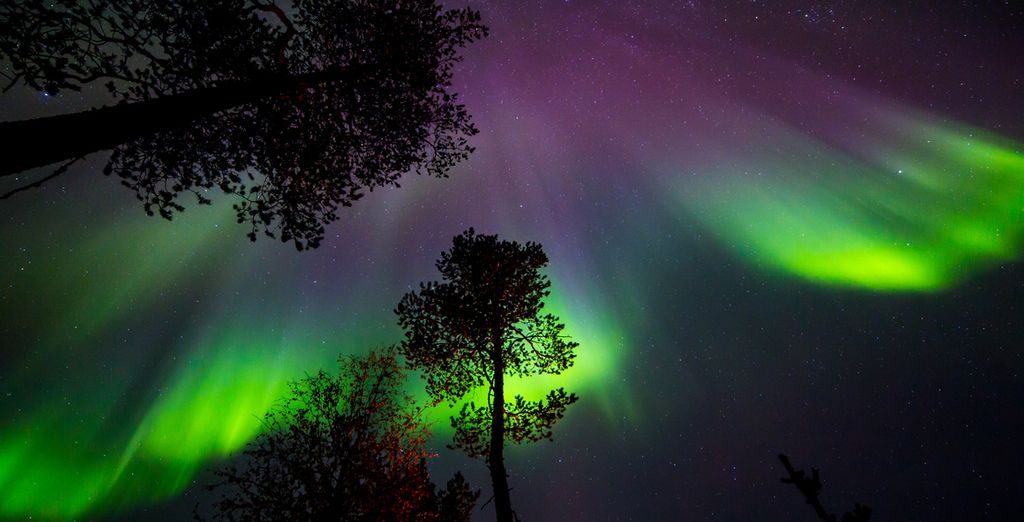 Aurora Boreale e Natura