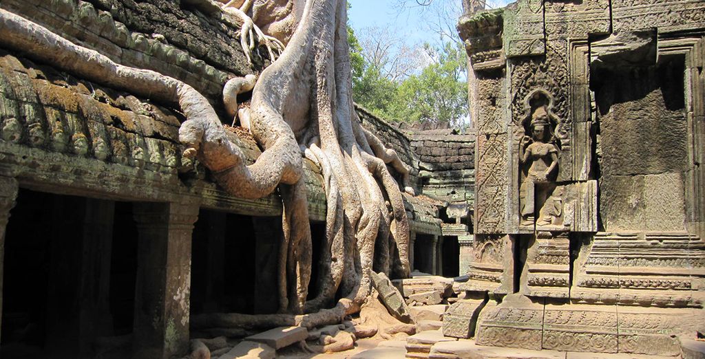 Tour Vietnam 7 notti + estensione Cambogia 2 notti