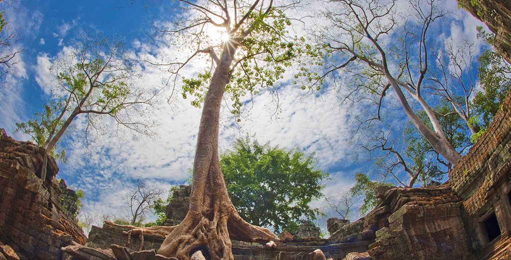 Tour Vietnam 7 notti + estensione Cambogia 2 notti