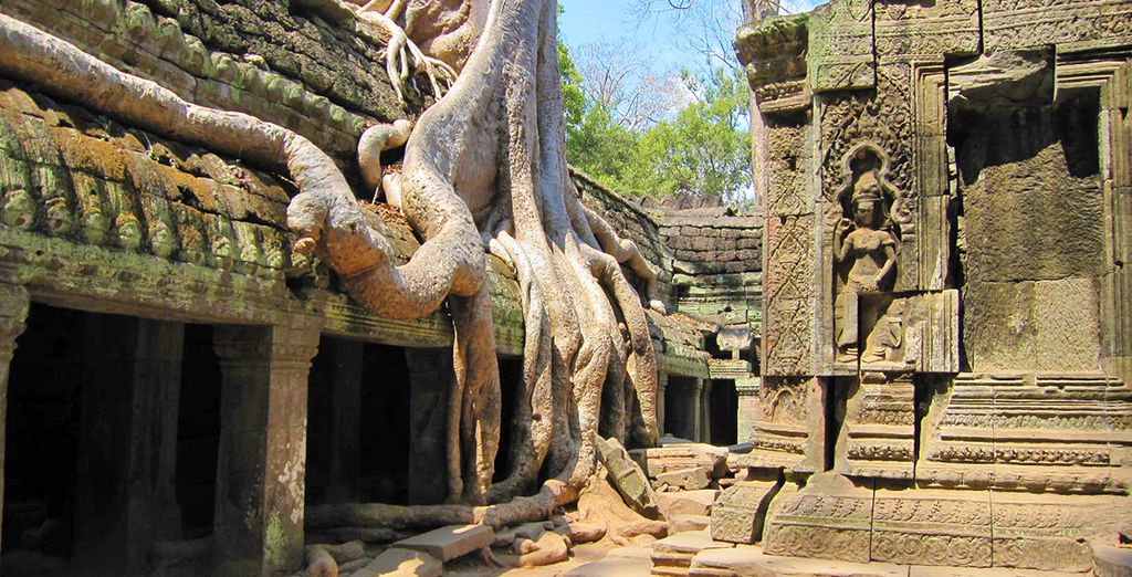 Tour Vietnam 7 notti + estensione Cambogia 2 notti