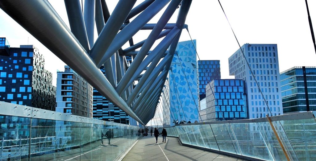 Oslo e Copenhagen con minicrociera