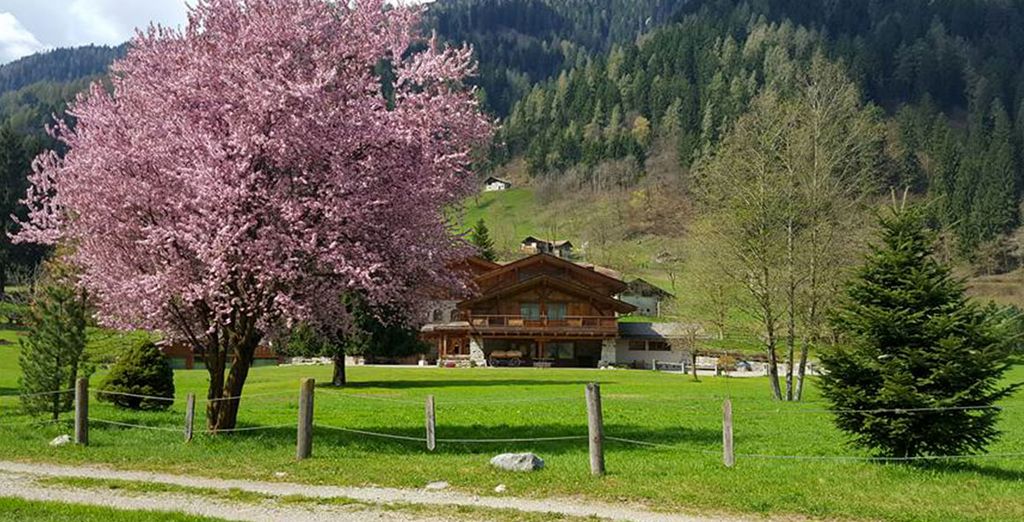 Chalet Alpino - Maso del Brenta