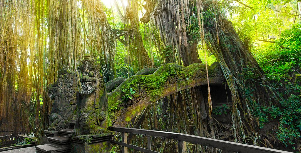 Desa Visesa Ubud 5* + Hotel Fairmont Sanur Beach - Bali 5* + Mulia Resort Nusa Dua 5*