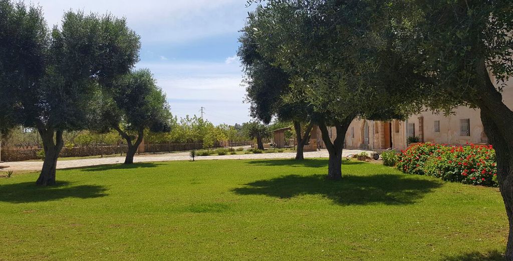 Masseria Alcaini