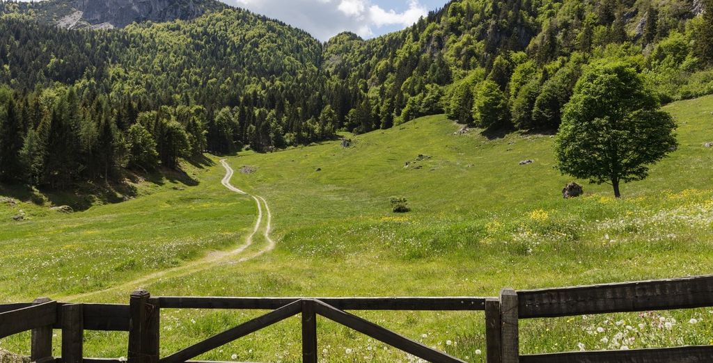 Chalet Caminetto