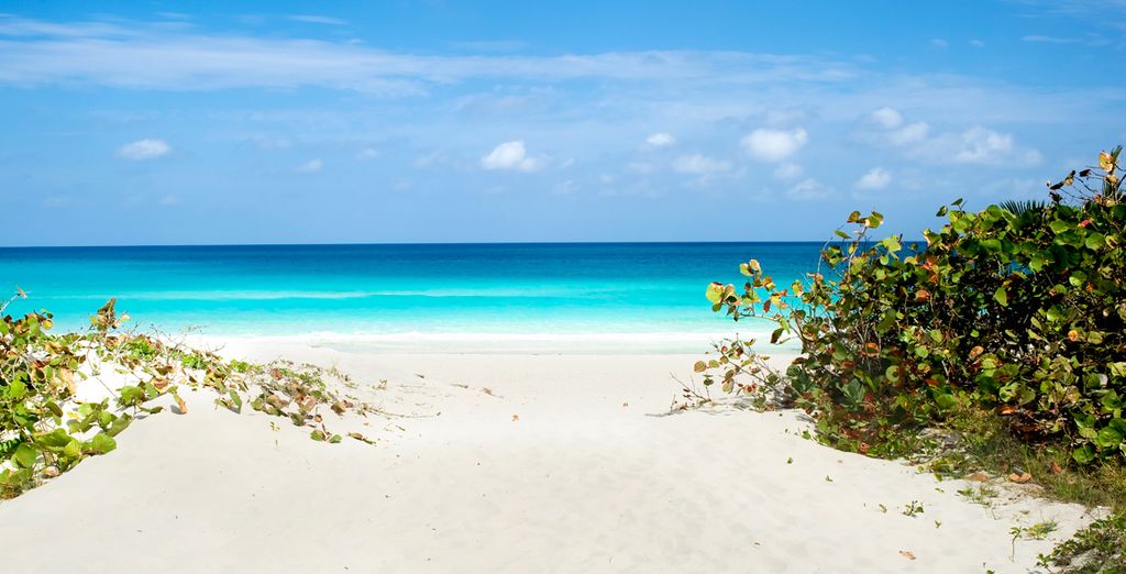 L'Avana in Casa Particular + Hotel Valentin Perla Blanca 5* a Cayo Santa Maria - Adults Only