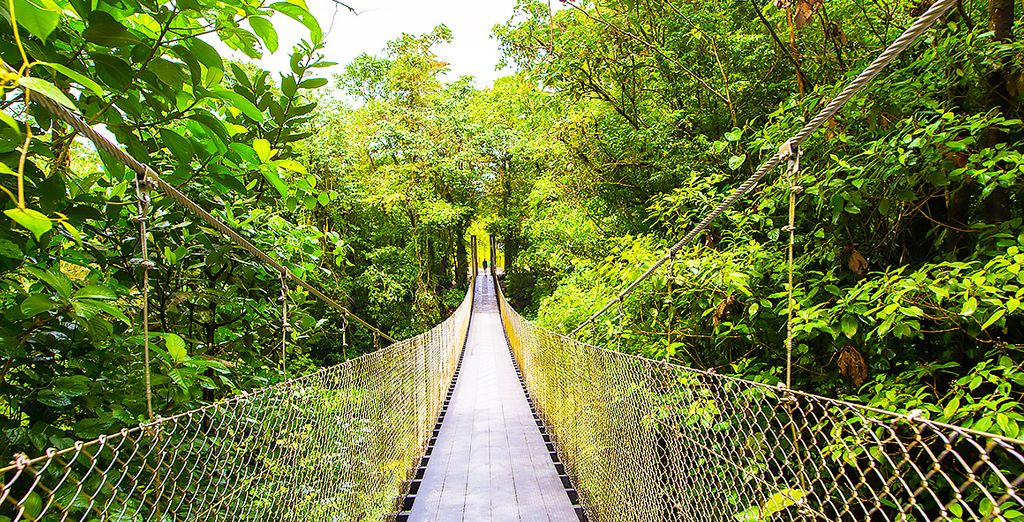Tour 10 o 12 notti in Costa Rica + Panama con noleggio auto 