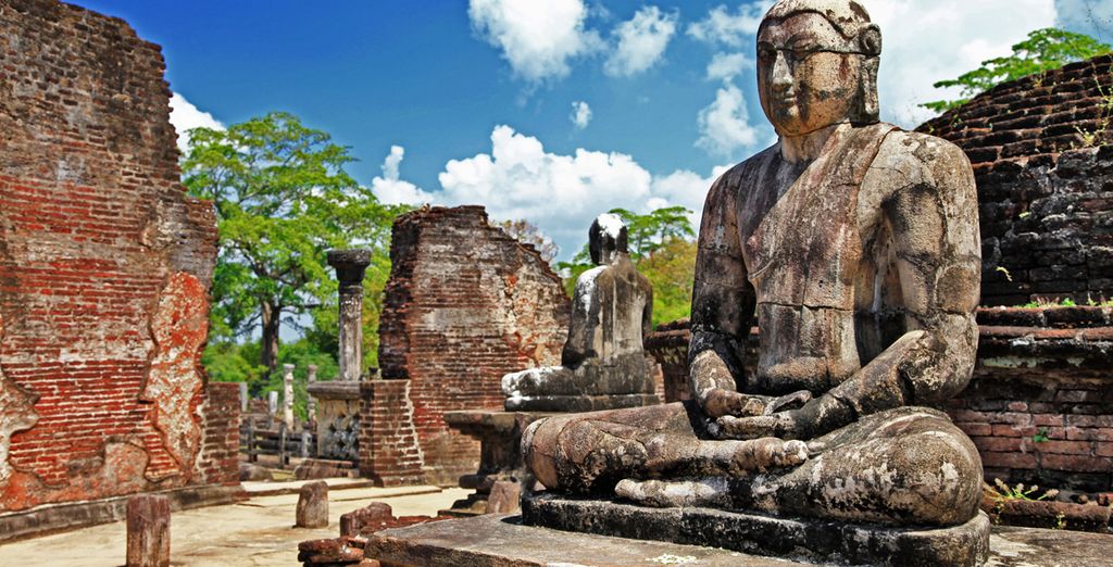 Circuito alla scoperta dello Sri Lanka di 8 o 10 notti