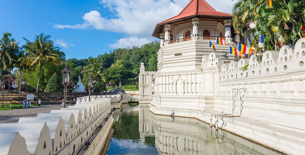 Circuito alla scoperta dello Sri Lanka di 8 o 10 notti