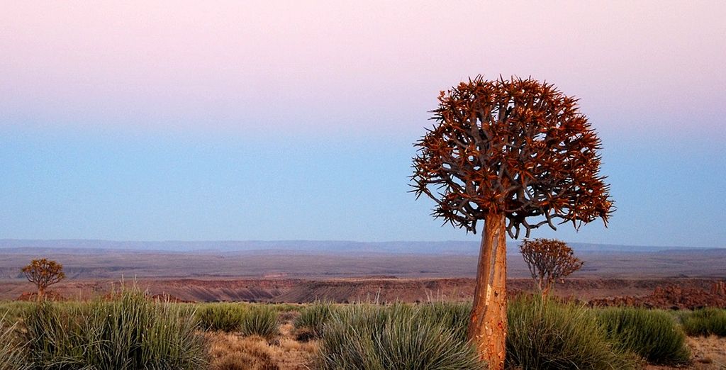 Avventurosa Namibia
