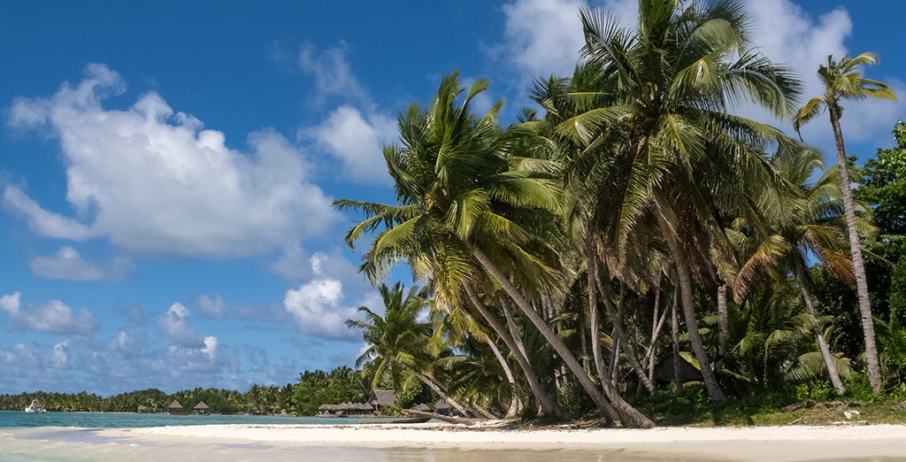Madagascar: alla scoperta delle bellezze naturali dell'isola