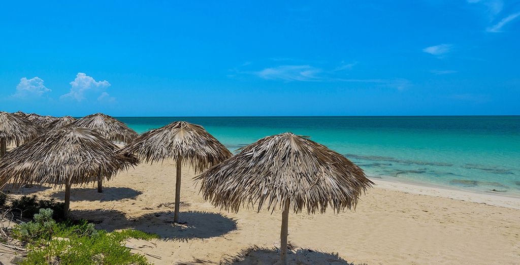 NH Capri L'Avana 4* & Golden Tulip Aguas Claras Cayo Santa Maria 4*S