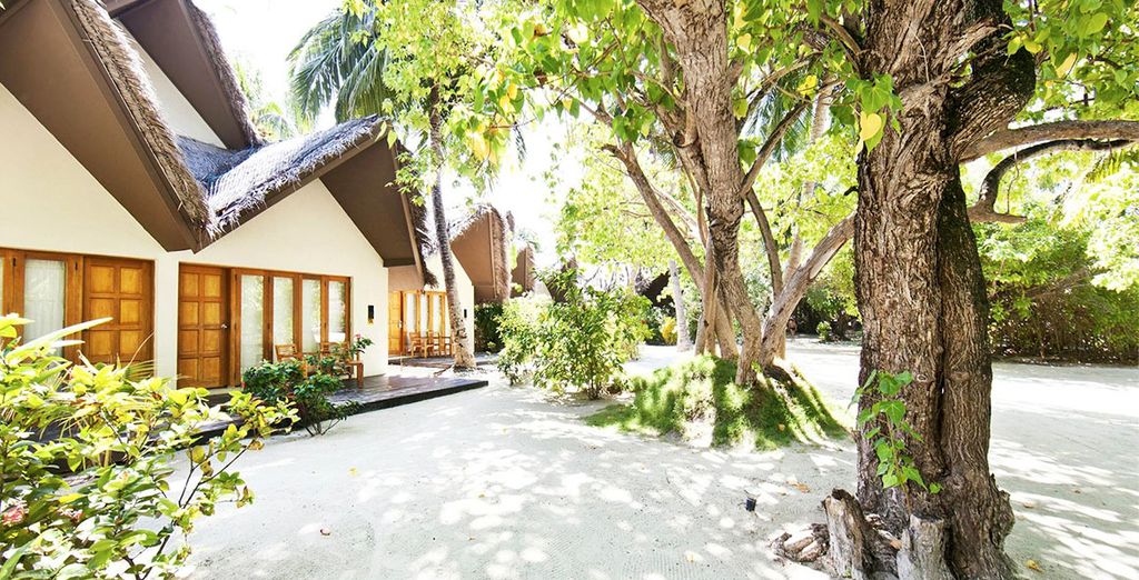 Tour Sri Lanka e soggiorno mare alle Maldive Adaaran Select Hudhuranfushi 4*
