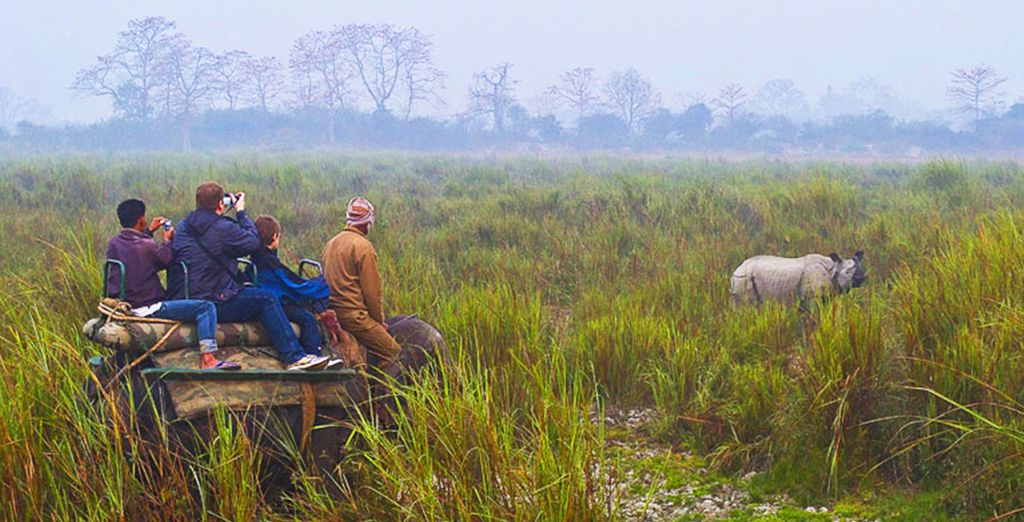 Crociera lungo il fiume Brahmaputra