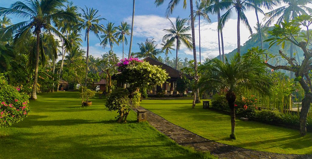 Le perle di Bali: Candidasa, Pelaga, Lovina e soggiorno mare a Nusa Dua