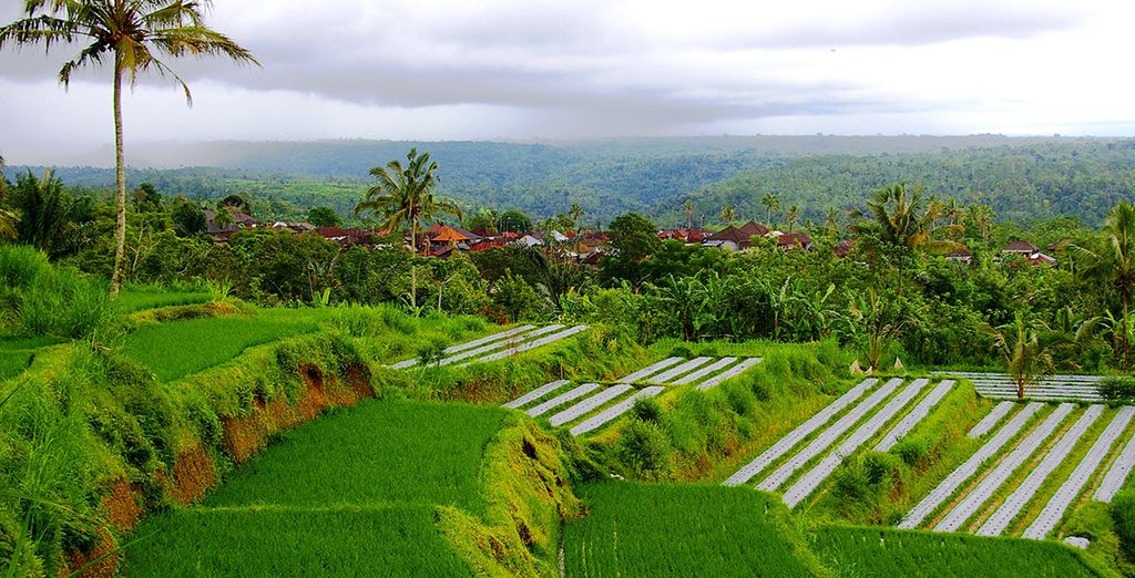 Le perle di Bali: Candidasa, Pelaga, Lovina e soggiorno mare a Nusa Dua