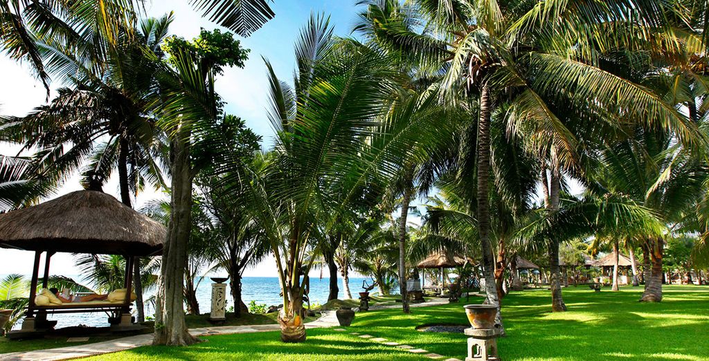 Le perle di Bali: Candidasa, Pelaga, Lovina e soggiorno mare a Nusa Dua