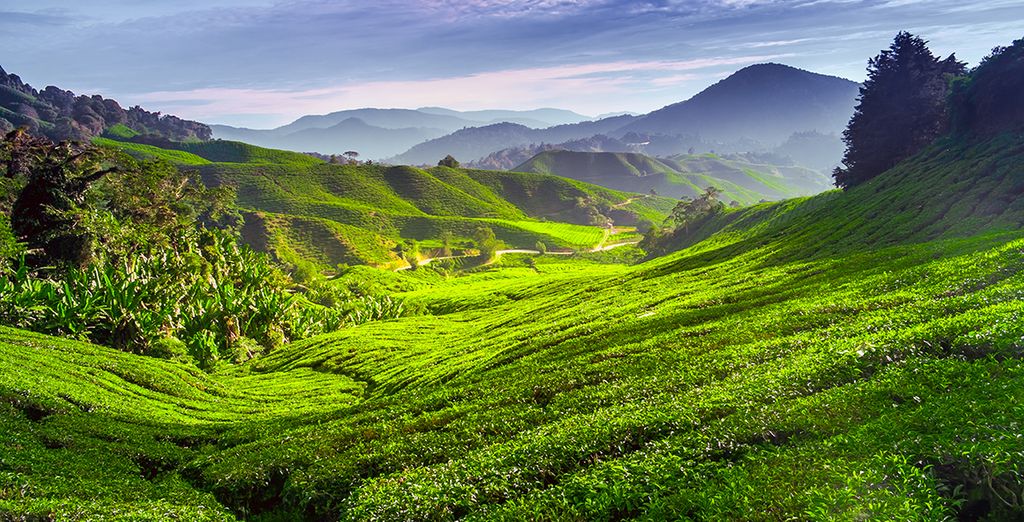 Tour privato della Malesia e soggiorno mare a Langkawi