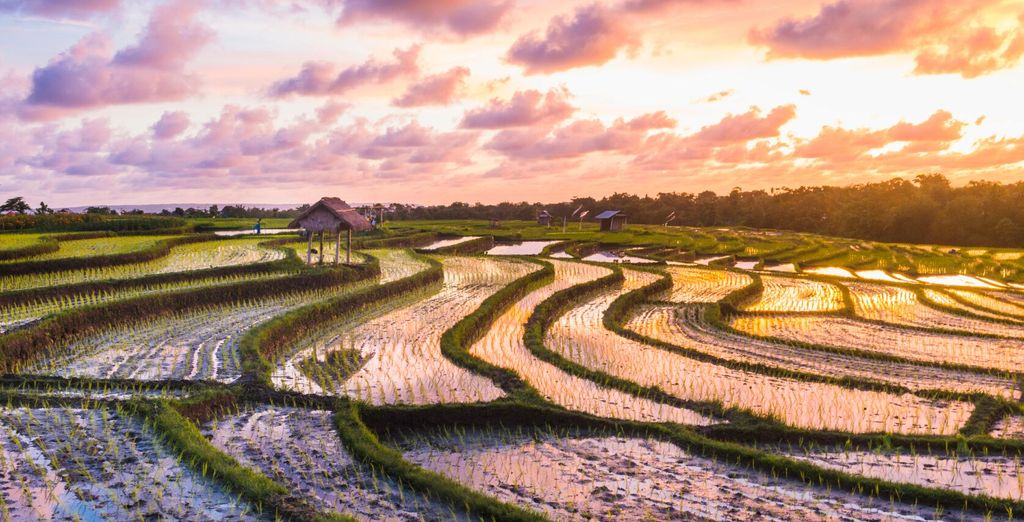 Petit Hotel 4* Ubud + Kupu Kupu Jimbaran Hotel 5*