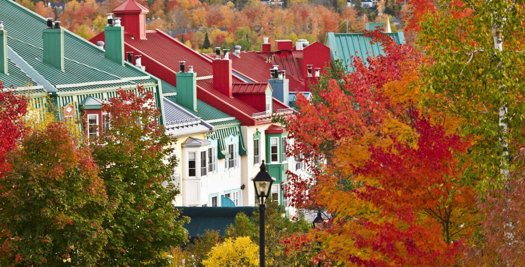 Tour del Canada Orientale: grandi città e countryside da Montrèal a Toronto