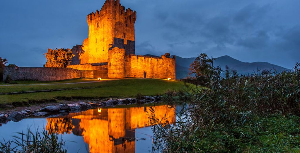 Whiskey Tour in Irlanda con noleggio auto incluso