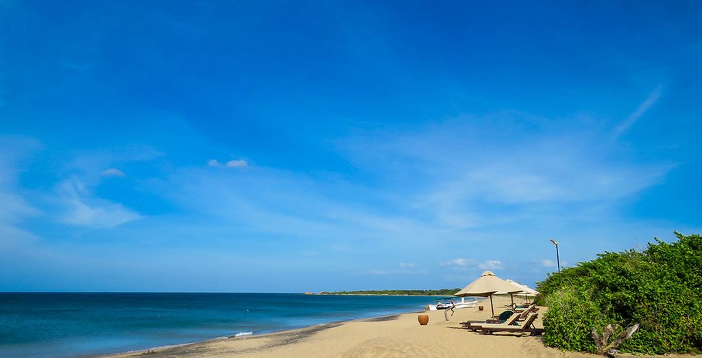 Tour dello Sri Lanka con estensione mare a Passikudah