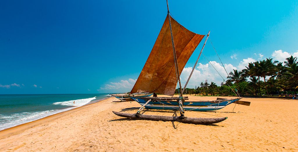 Tour dello Sri Lanka con estensione mare a Passikudah